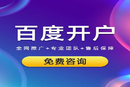 SEM广告投放策略：成功案例解析